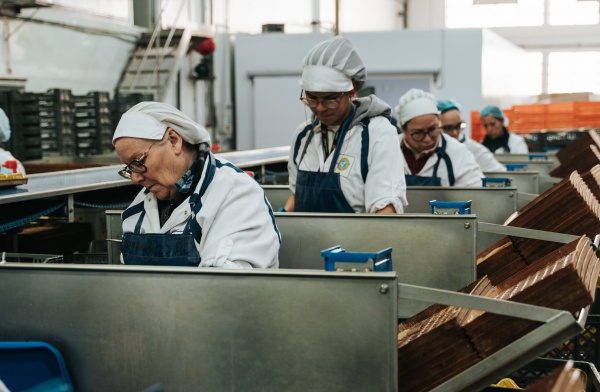 Preparadoras de Peixe